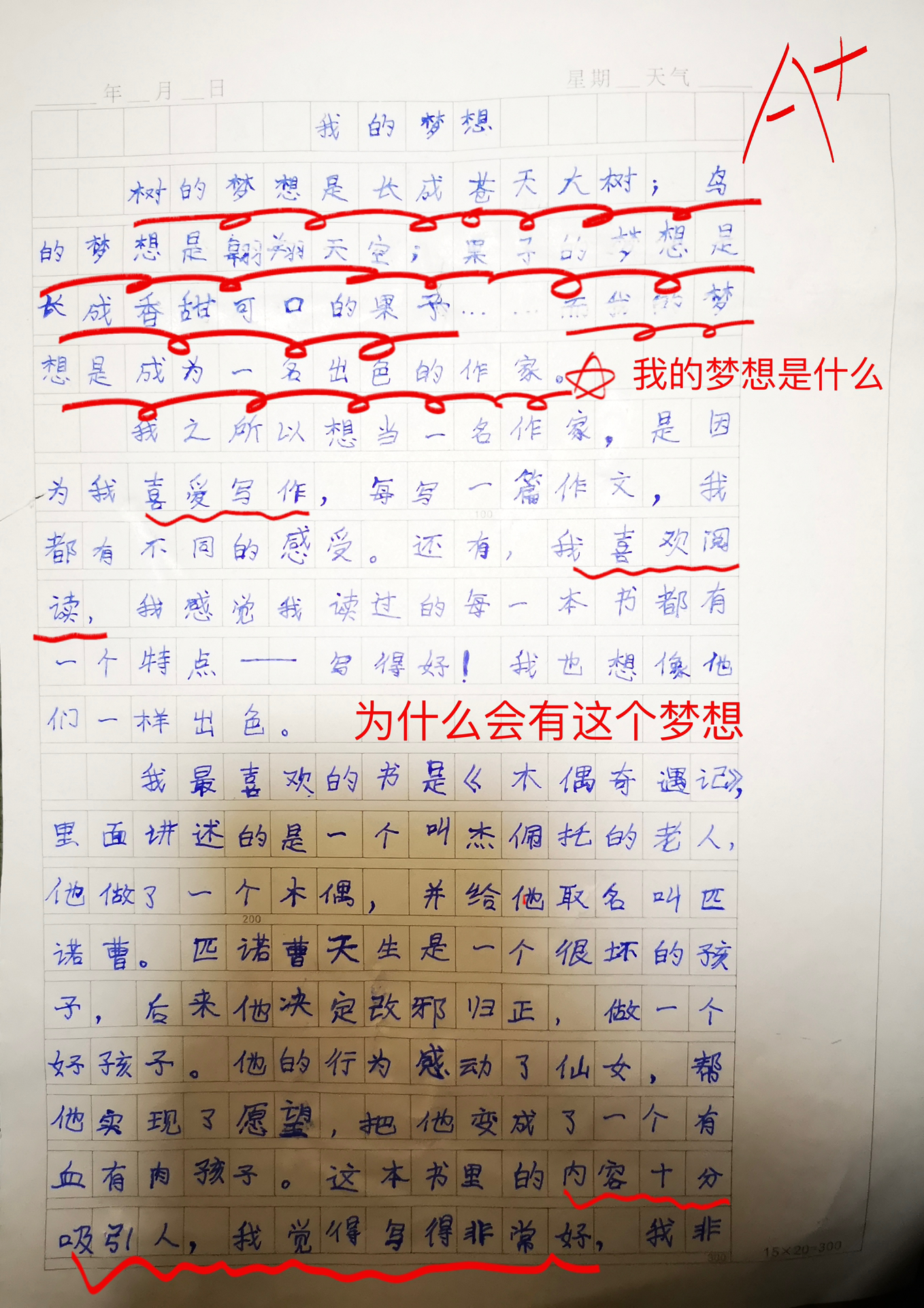 小学五年级优秀作文，我的小小梦想