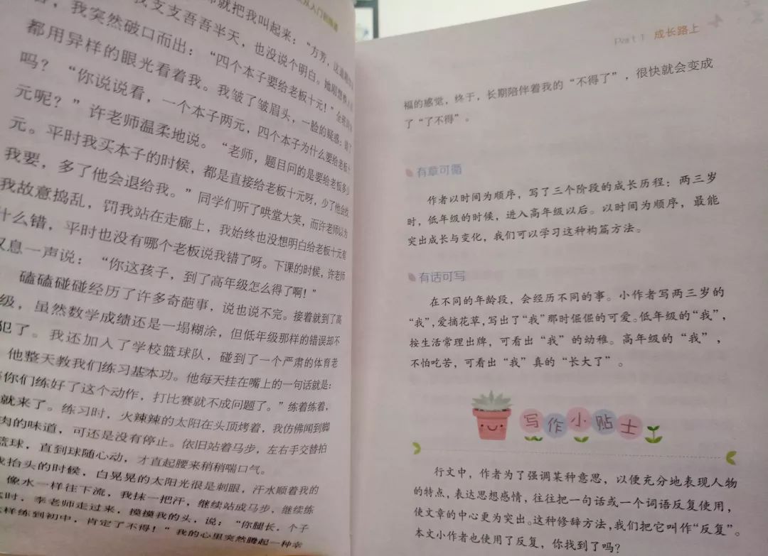 小学作文的奇妙之旅，精选篇