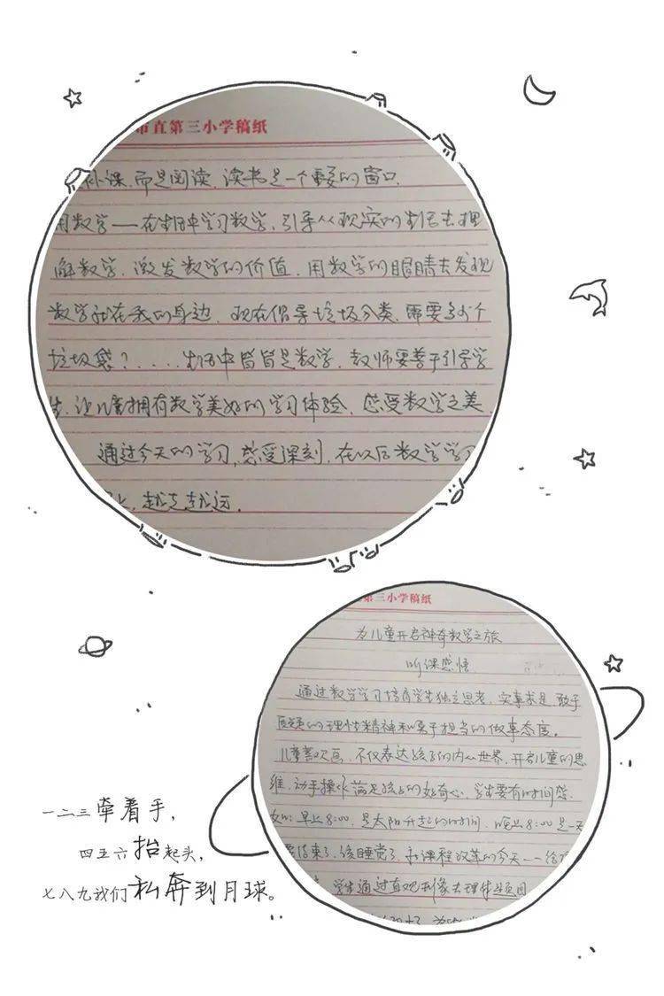 小学数学教学随笔，在数字的海洋中播种智慧