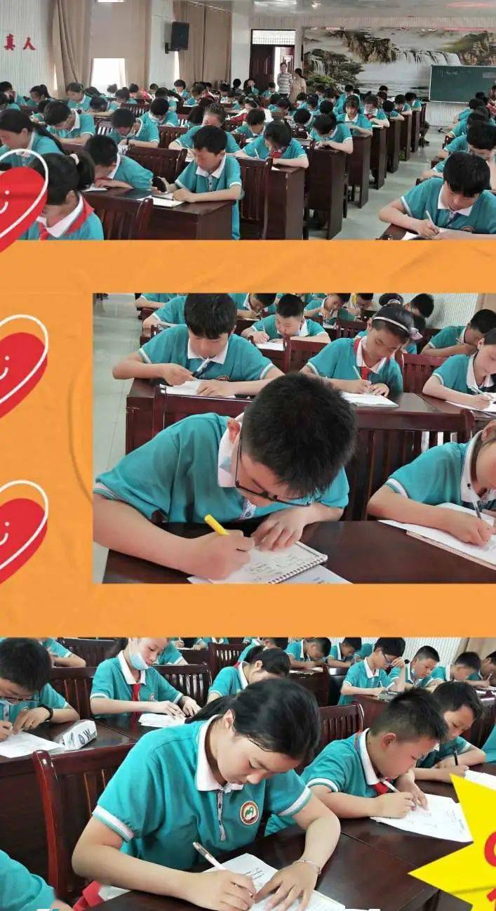探索北师大版小学数学的魅力与智慧