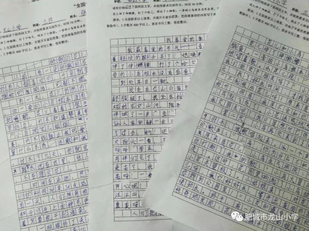 探秘香港马会开码结果直播，一场精彩绝伦的赛马盛宴