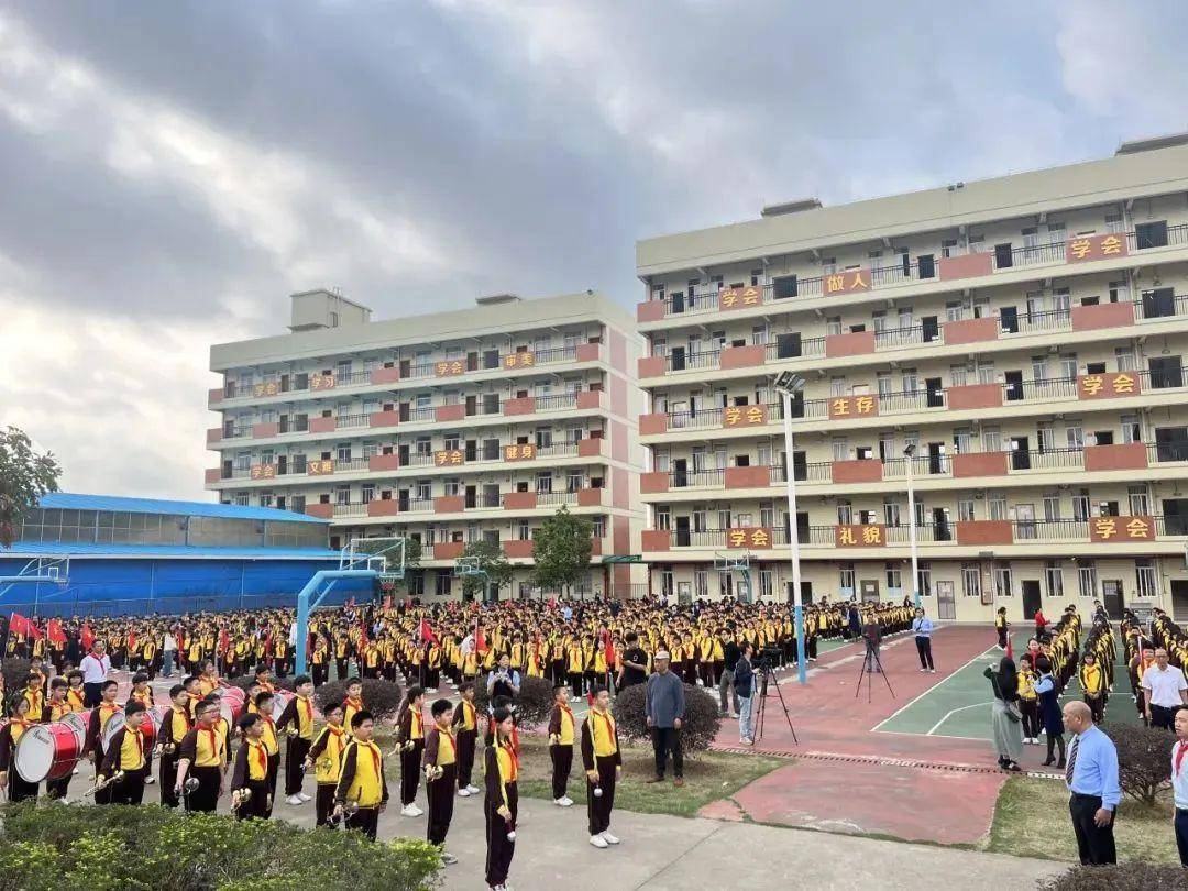 探索成长之旅，西樵实验小学的璀璨篇章