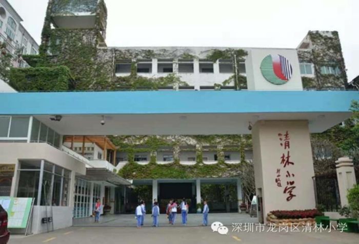 清林小学，绿意盎然中的教育乐园