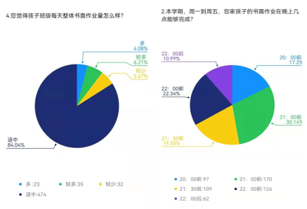 减负不减质，探索小学生全面发展的新路径
