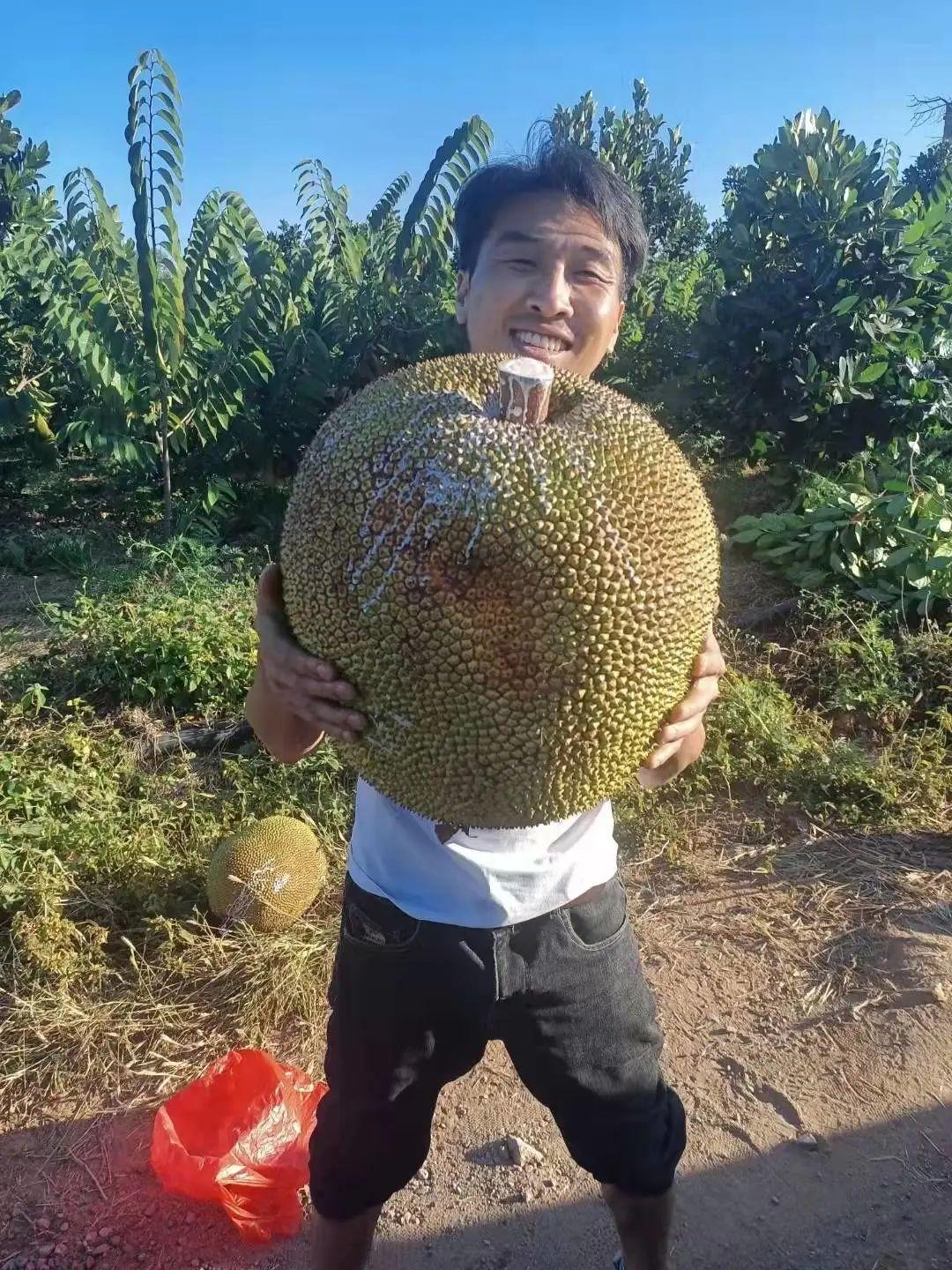 探索成长之旅，金山区第一实验小学的璀璨篇章