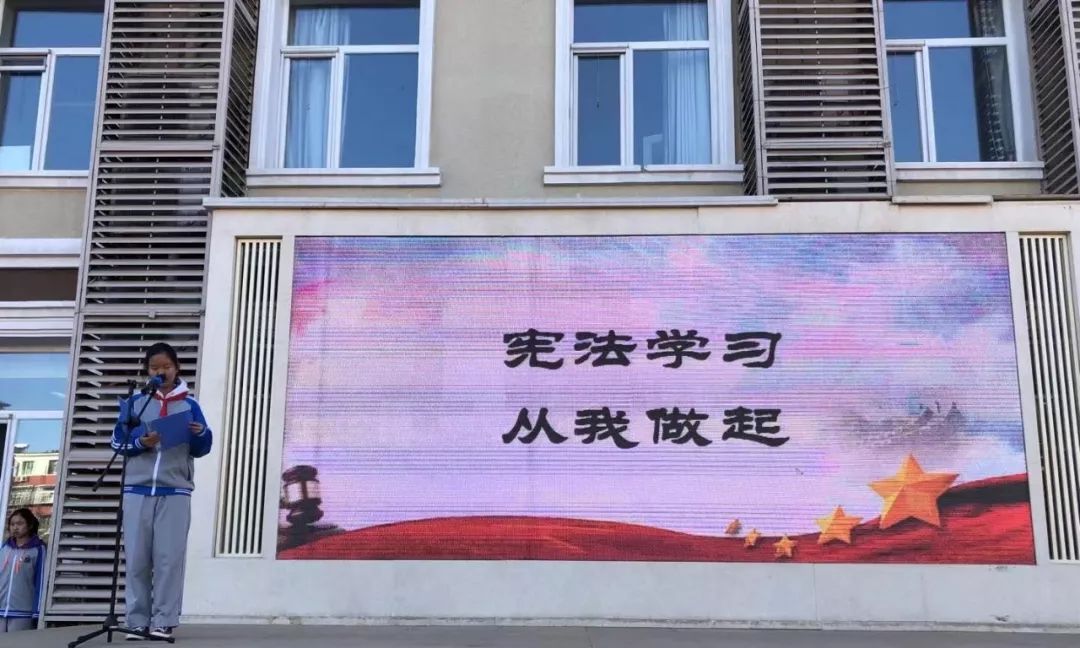 小学宪法宣传，让法治精神在童心中生根发芽