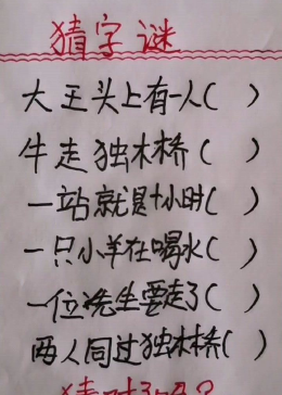 小学生迷语，智慧与乐趣的奇妙碰撞