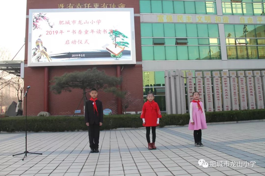 肥城市龙山小学，培育未来之星的摇篮