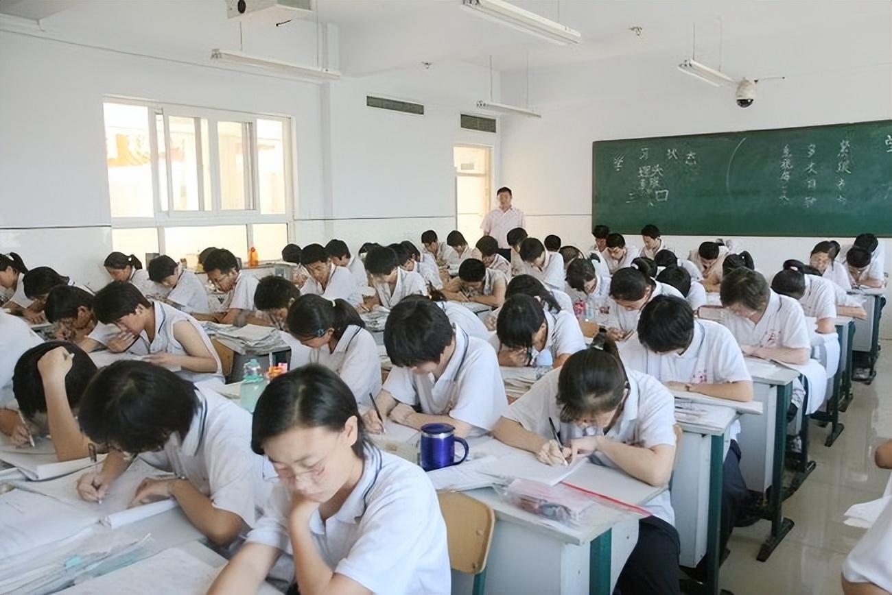 小学数学教师个人工作总结，在数字的海洋中播种希望