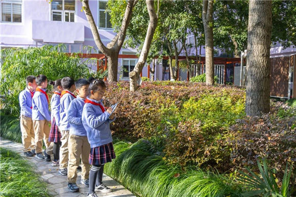 探索黄浦江路小学，一所以爱与智慧为基石的成长乐园