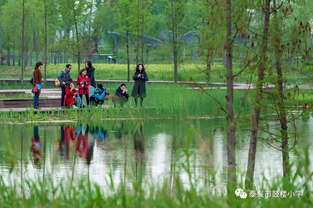 探索东钱湖中心小学，一抹绿意中的教育乐园