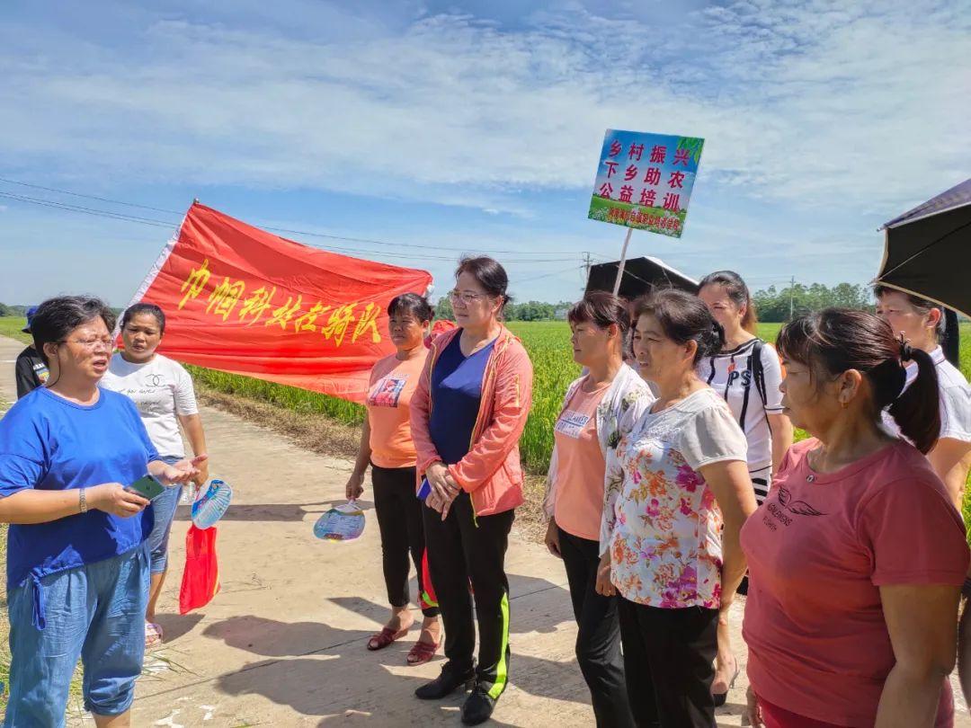 提升小学生素质教育的关键路径，培养全面发展的小公民