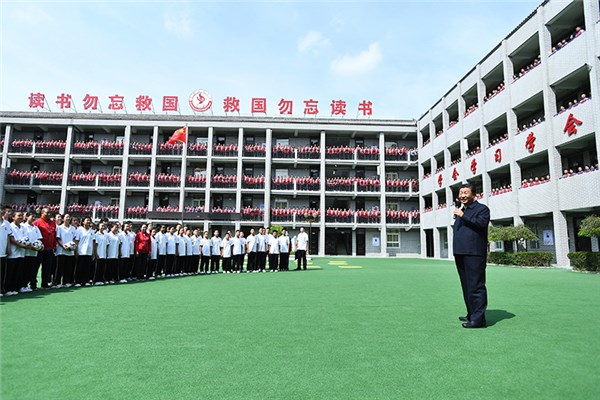 2019年香港马会内部免费资料，揭秘与解读香港马资料大全2019