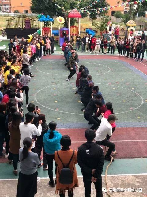 探寻新澳六开彩的历史开奖记录，一场数字与概率的奇妙之旅