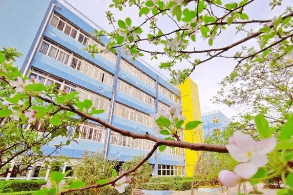 学生风采 第395页