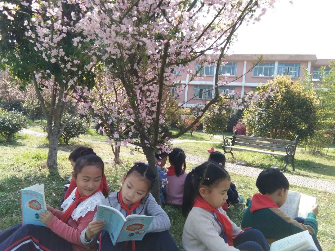 樱花园小学，春日里的知识乐园
