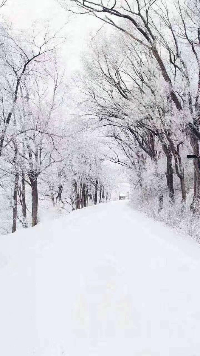 雪中的童趣，小学生眼中的下雪了