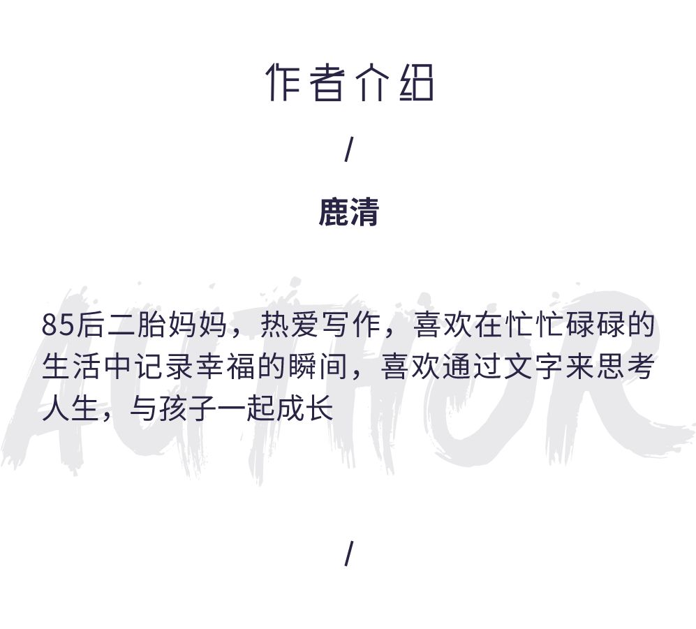 小学操行评语，塑造孩子未来的无形之手