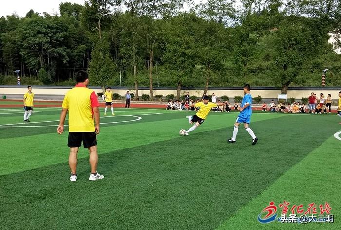 小学足球训练的全面总结，从基础到提升的成长之路