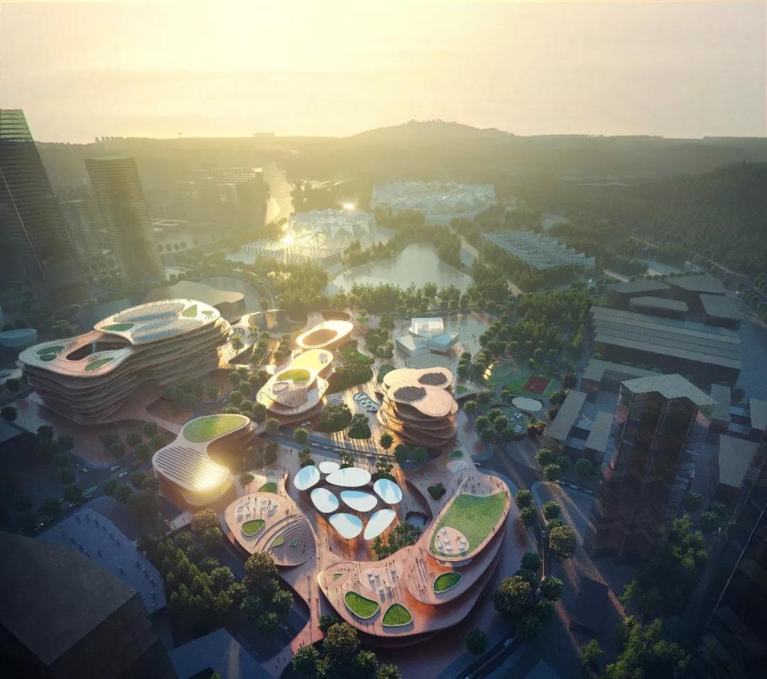 五年级班主任 第253页