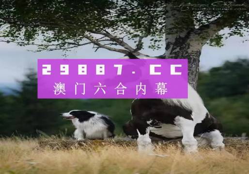 澳门跑狗图，2019年回顾与解析