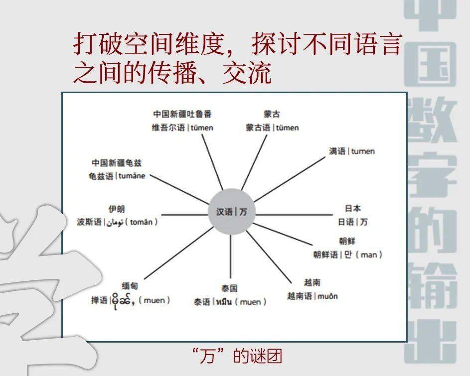 探索数字的奥秘，揭秘开码的魅力与技巧