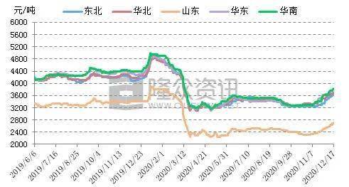 探索香港近15期历史开奖的奥秘与影响