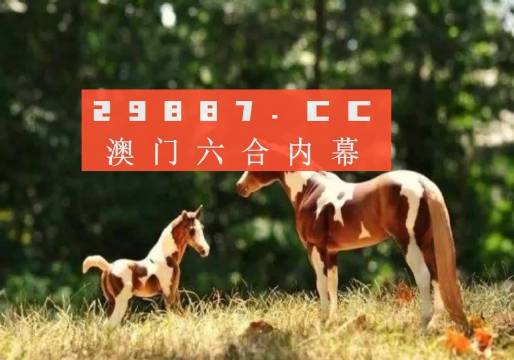 澳门跑狗图，2019年回顾与解析