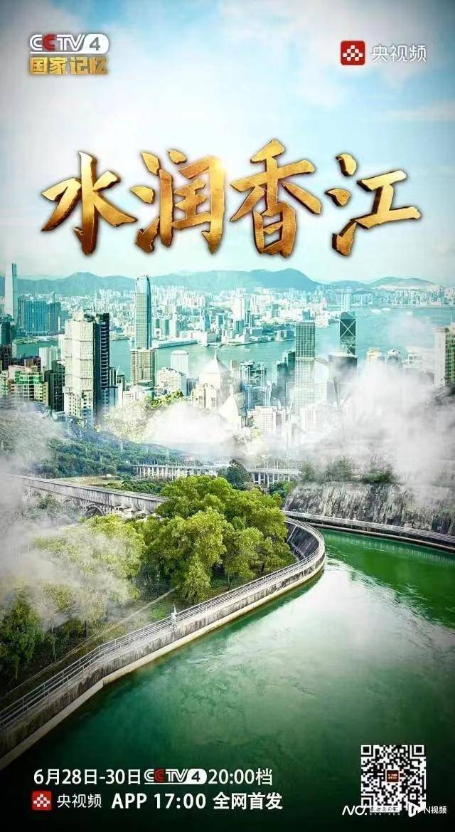 揭秘香港15期开奖结果，数字背后的故事与期待
