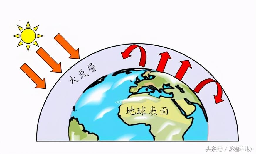 空气污染的严峻现状与应对策略，一份深度报告