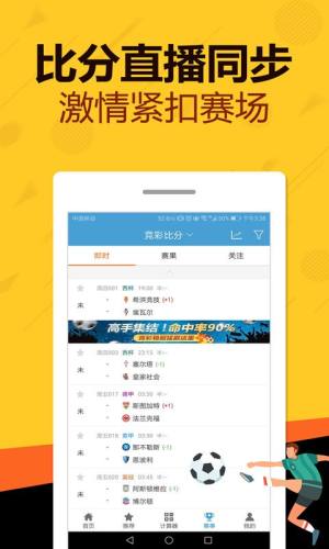 管家婆2023正版资料图片大全，揭秘正版软件的重要性与价值