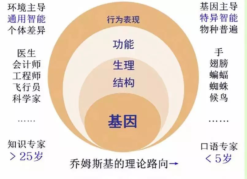 管家婆一句话，玄机图中的智慧启示