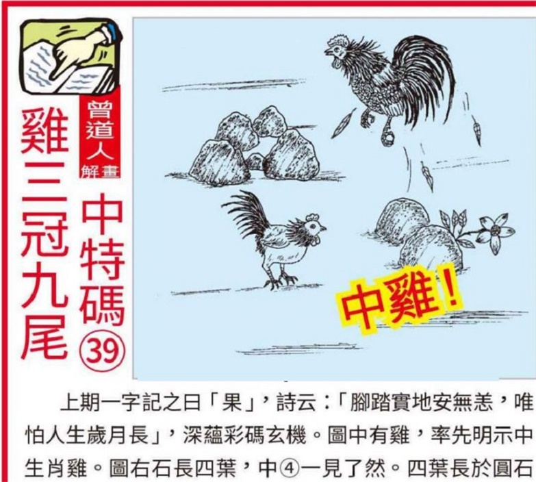 澳门正版马会精选资料大全