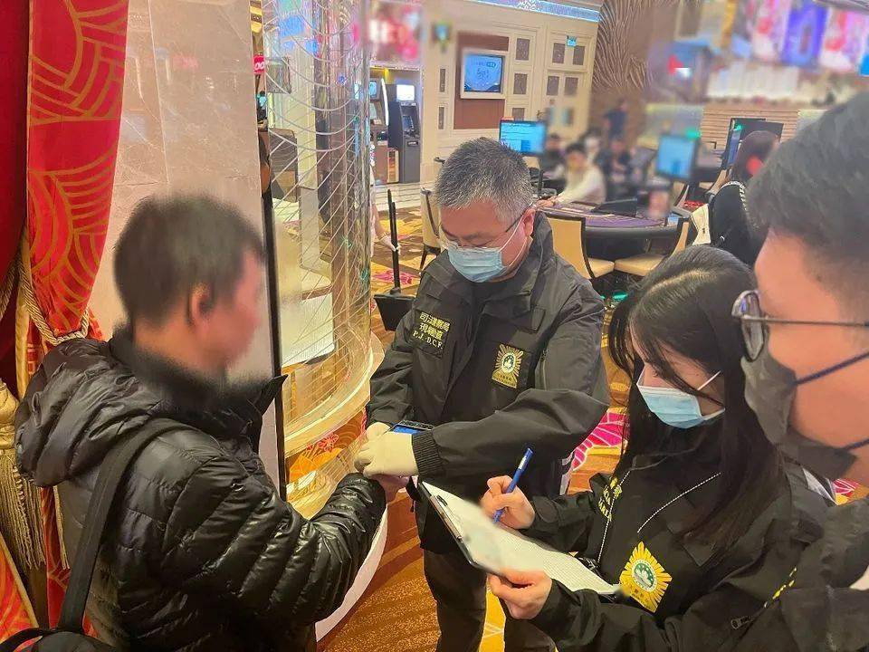 探索2024新澳门历史开奖记录，揭秘背后的故事与影响