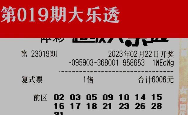 2024澳门天天开好彩资料，理性看待彩票，享受生活乐趣