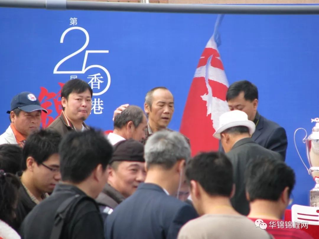 揭秘香港开奖结果记录，全面解析与深度探讨