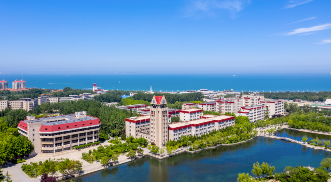 烟台大学2021年录取分数线深度解析