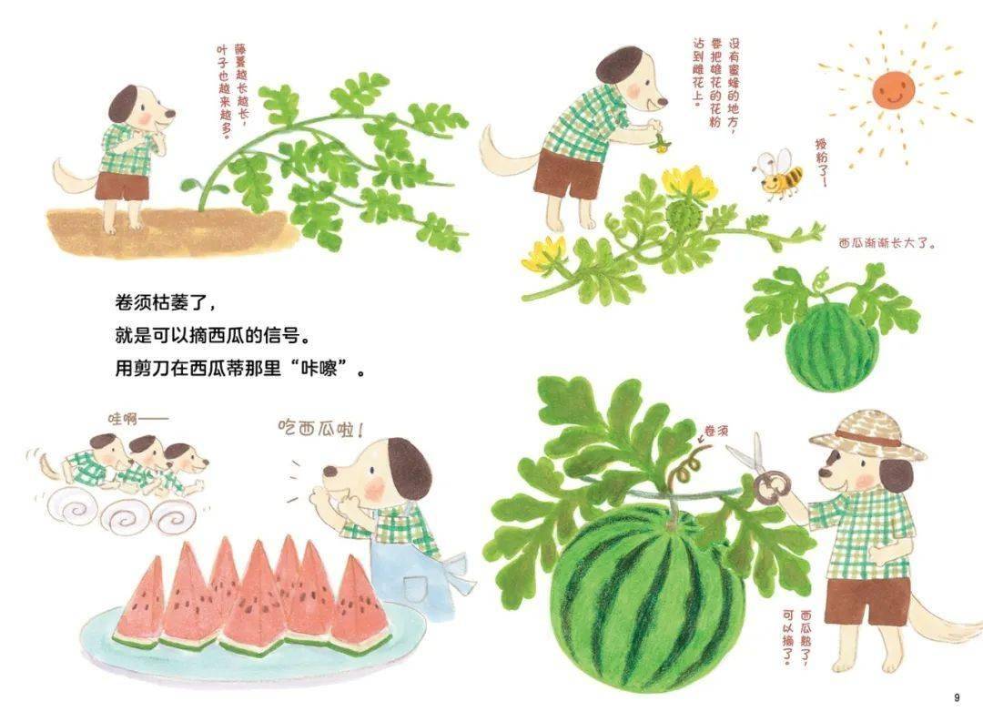 水果奶奶的彩图小课堂，免费资料里的甜蜜秘密