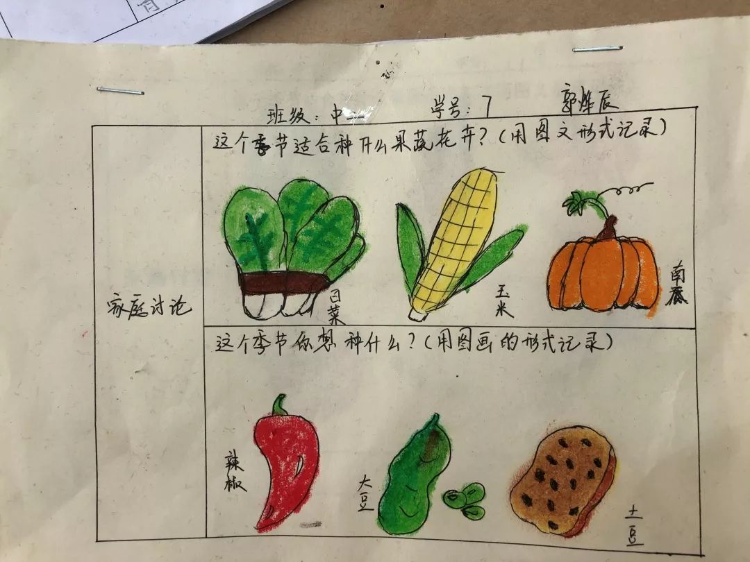 水果奶奶的简单藏宝图