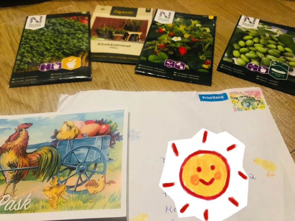 水果奶奶的藏宝图，简单又漂亮的秘密花园