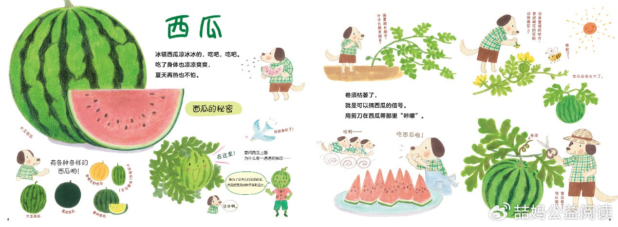 水果奶奶的宝藏图，绘制奇妙探险之旅的秘诀