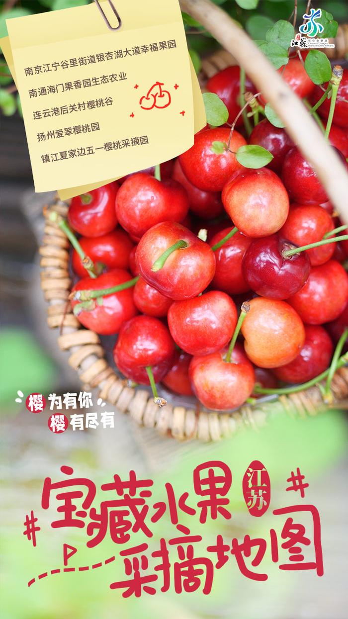 水果奶奶的宝藏图，最新图片与探险指南