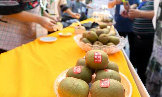 水果奶奶，2023年最新消息与传奇故事
