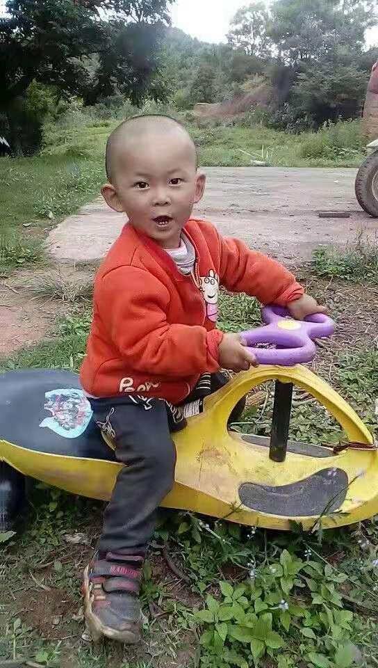 水果奶奶的温馨笑容，免费高清图片分享与背后的故事