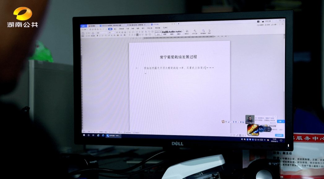 水果奶奶900096，最新动态与影响力探索