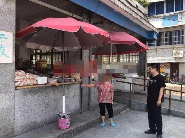 天下采水果奶奶的免费资料大全，解锁自然与创意的奇妙之旅