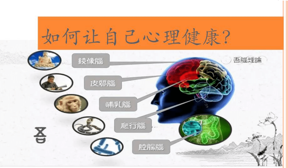 水果奶奶的正版资料介绍，健康生活的甜蜜源泉