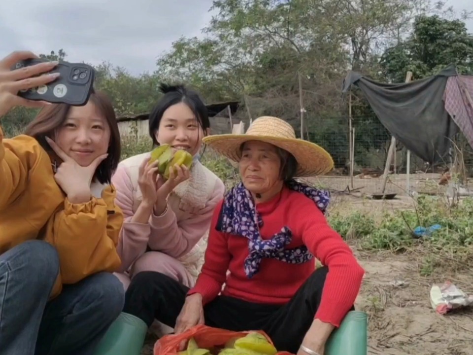 探索水果奶奶高手心水第一论坛，香港在线看中文版免费版体验
