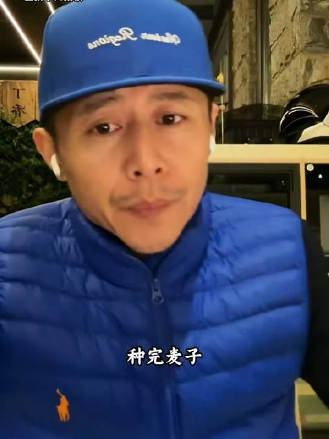 61229水果奶奶主论坛，探索官方正版最新版的不凡之旅