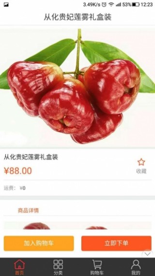 天下采水果，奶奶与你同行的免费资料大全最新版完整指南